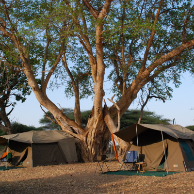 camping-safaris