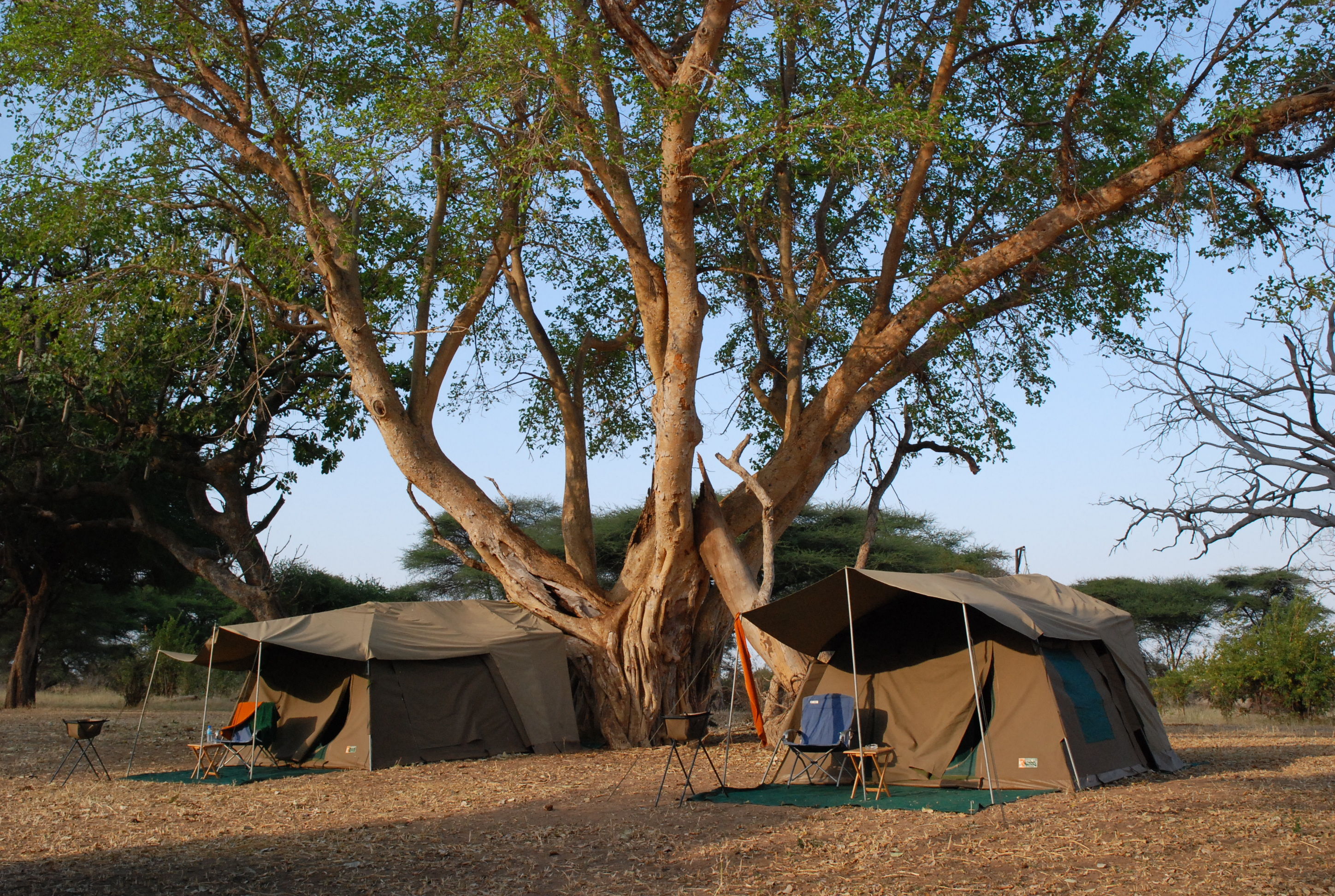 camping safaris