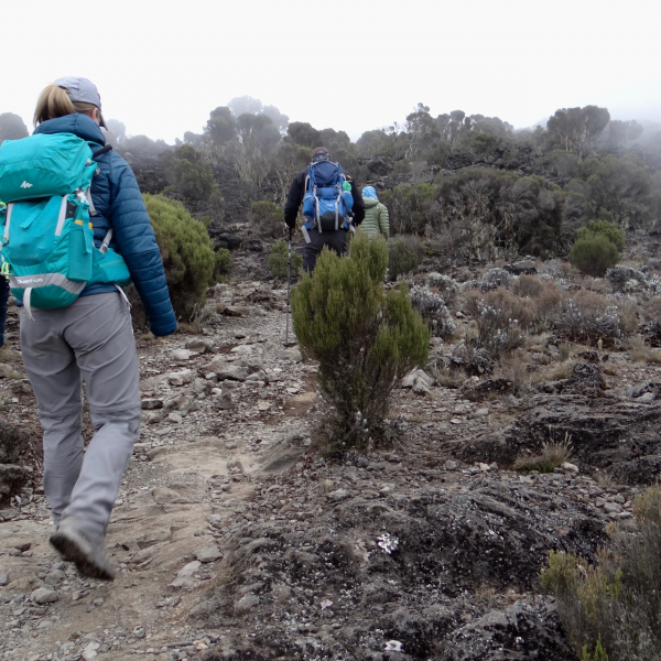 kili-trek-machame