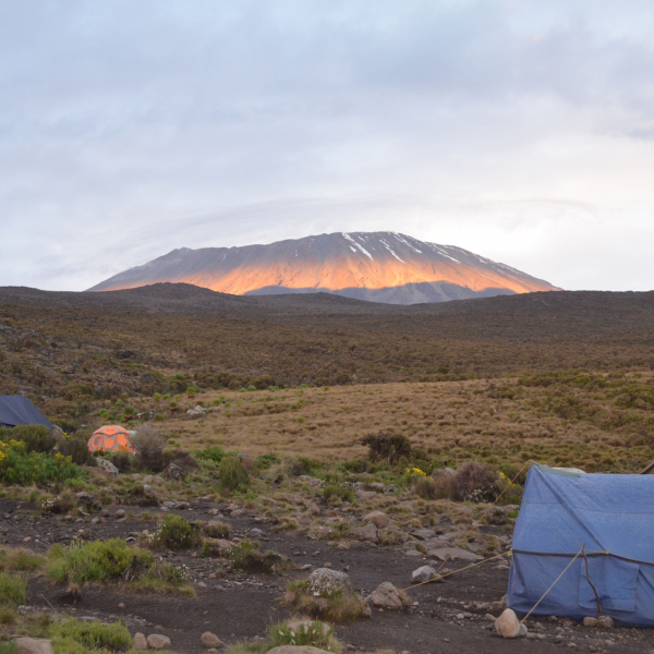 Rongai---Kilimanjaro